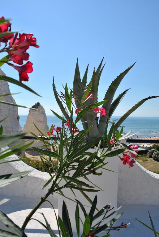 Hotel Falcone Vieste Exterior photo